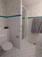 teras daire Horgen Satılık İsviçre