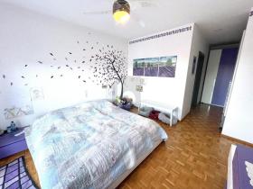 两户住宅 诺瓦扎诺  瑞士