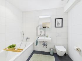 デュプレックス・フラット リュッツェルフリュー スイス