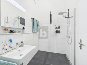 デュプレックス・フラット リュッツェルフリュー スイス