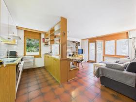 フラット グレヘン 販売中 スイス