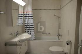 Plat Lausanne Te Huur Zwitserland