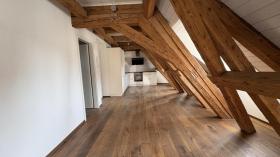 Zolder flat Delémont te huur Zwitserland