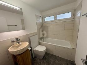 Teraszos lakás Wädenswil Kiadó Svájc