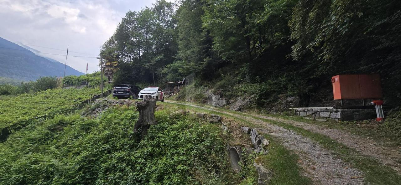 Шарле Анзонико Продаётся Швейцария