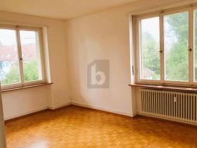 扁平 巴塞尔 瑞士