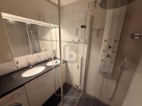 Gulv Leilighet  Birsfelden Til leie Sveits