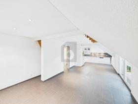 Duplex apartment Uzwil For Rent Switzerland