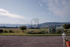 ファームハウス コットン 販売中 スイス