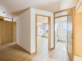 Apartamento sótão Goldach Aluguéis Suíça