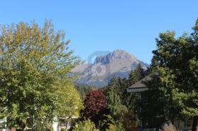 Hotel Châtel-Saint-Denis Zu verkaufen Schweiz
