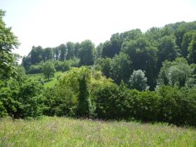 apartamento andar Romainmôtier À venda Suíça