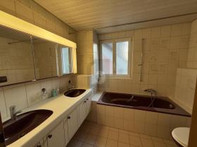 ペントハウス Rekingen AG 賃貸 スイス