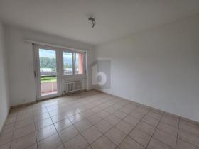 扁平 夸蒂诺 出租 瑞士