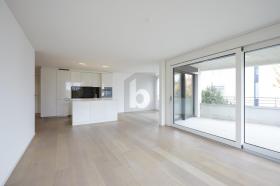 Płaski Zurych Do wynajęcia Szwajcaria