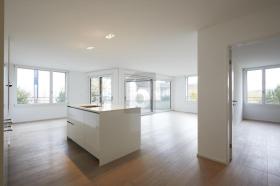 Płaski Zurych Do wynajęcia Szwajcaria