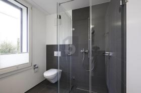 Płaski Zurych Do wynajęcia Szwajcaria