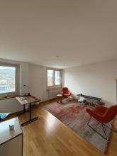 实践 巴登 出租 瑞士