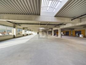 Salle de production À louer à Au, Suisse