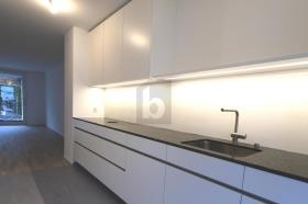 Rekkehus Til leie i Aesch-Schlatthof, Sveits