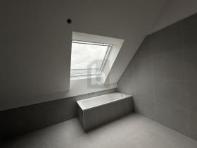 阁楼 会 出租 瑞士