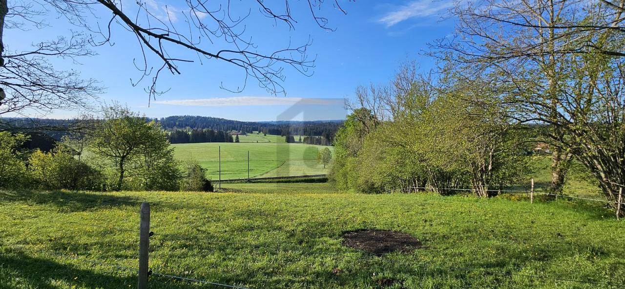 građevinsko zemljište Le Bémont (JU) Na prodaju Švicarska