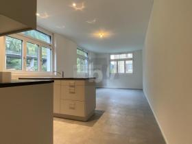 扁平 古特内伦 出租 瑞士