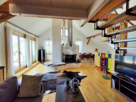 Гастрономия Эрматинген Продаётся Швейцария