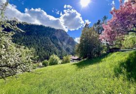 building ground  For Sale in Filisur, Switzerland