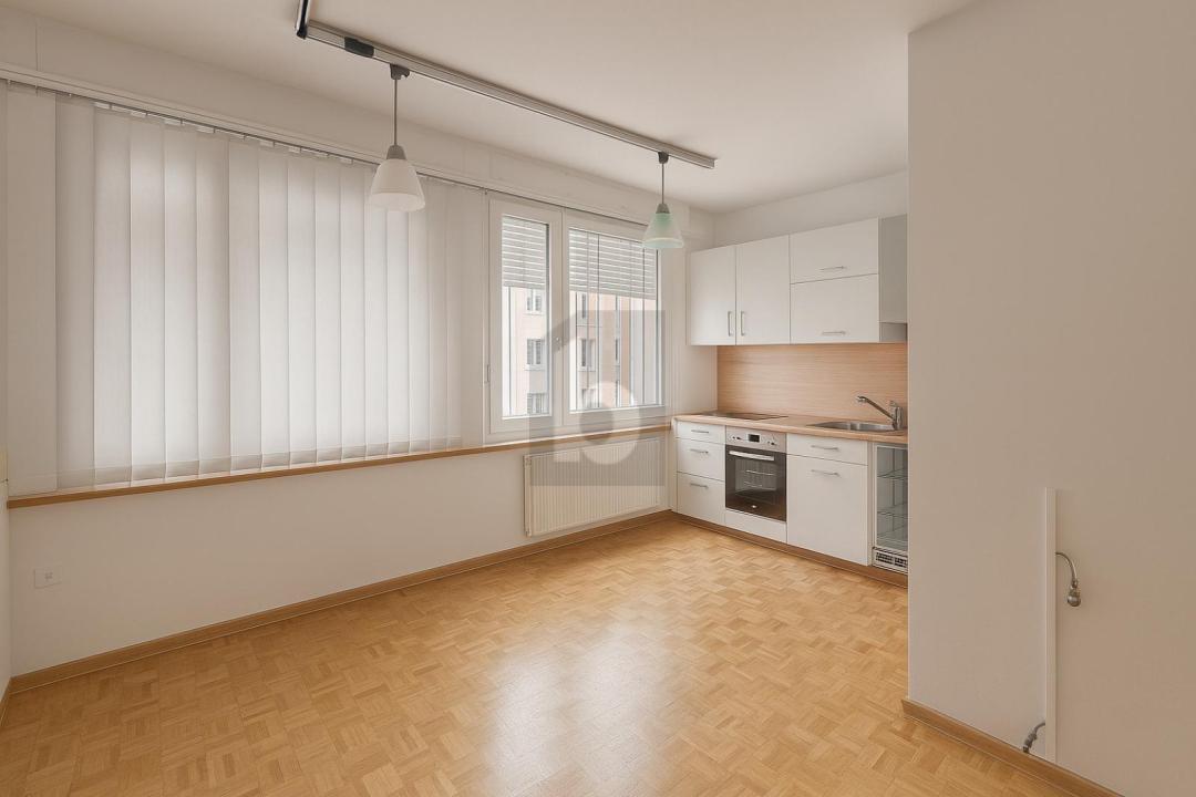 オフィススペース ドレモン 賃貸 スイス