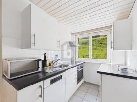 扁平 维萨亨 出租 瑞士