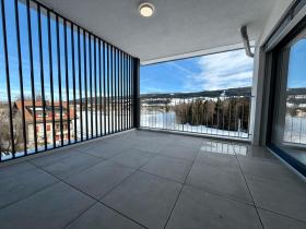 扁平 勒森蒂尔 出租 瑞士