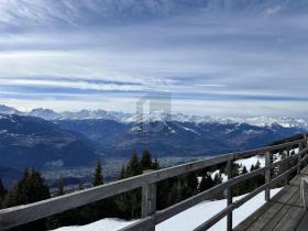 美食 艾延特 出售 瑞士