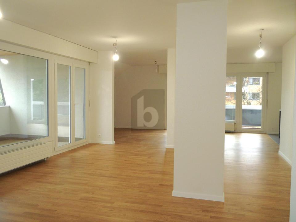 フラット シェーブル 賃貸 スイス