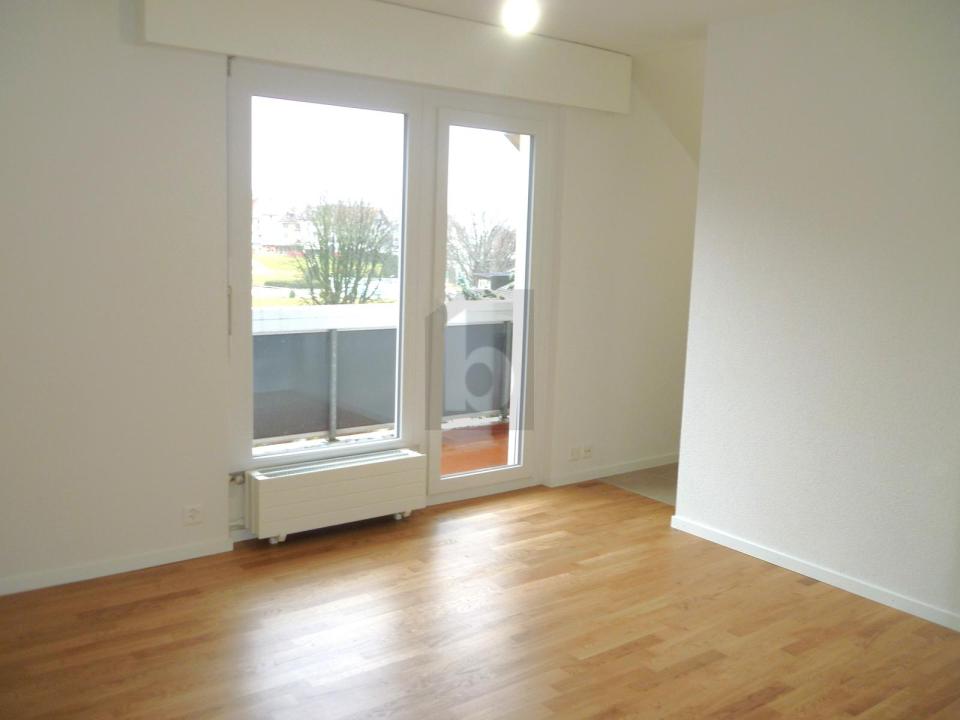 フラット シェーブル 賃貸 スイス