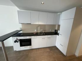 apartamento andar Basel Para alugar Suíça