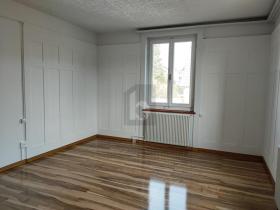 扁平 沙夫豪森 出租 瑞士