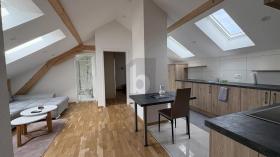 مسطحة مونستر للإيجار سويسرا