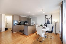 フラット ブンゼン 賃貸 スイス