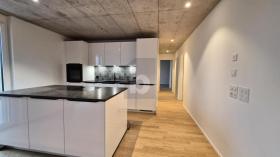 Apartamento térreo Para alugar em Oberengstringen, Suíça