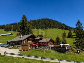 Gastronomy For Sale in Leysin, Switzerland