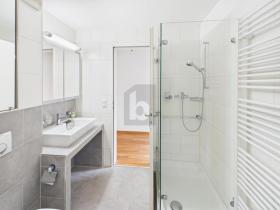 Floor Apartment Binningen For Rent Switzerland Floor Apartment Binningen For Rent Switzerland