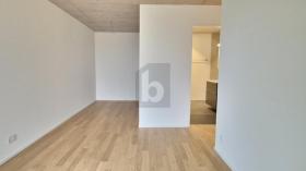 Erdgeschosswohnung Oberengstringen Zu vermieten Schweiz Erdgeschosswohnung Oberengstringen Zu vermieten Schweiz