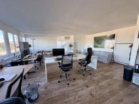 Bürofläche Zu vermieten in Freienbach-Pfäffikon, Schweiz