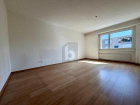 Floor Apartment For Rent in Baar, Switzerland