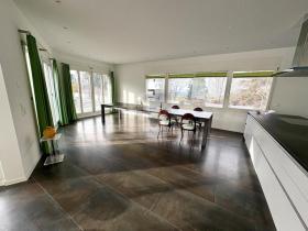 Penthouse Schindellegi Zu vermieten Schweiz