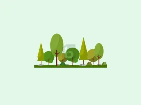 建筑用地 待售 于 下瓦尔特斯多夫-卡塔斯特拉格梅因德·施拉纳万德, 奥地利