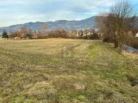 Proprietà terreni / forestale Wolfsberg Vendita Austria