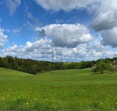 building ground  for sale in Maria Schmolln, Austria