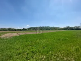 Emlak arazi / ormancılık satılık 'de Herzogenburg, Avusturya